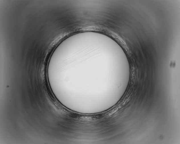 X0000099460298200806061135