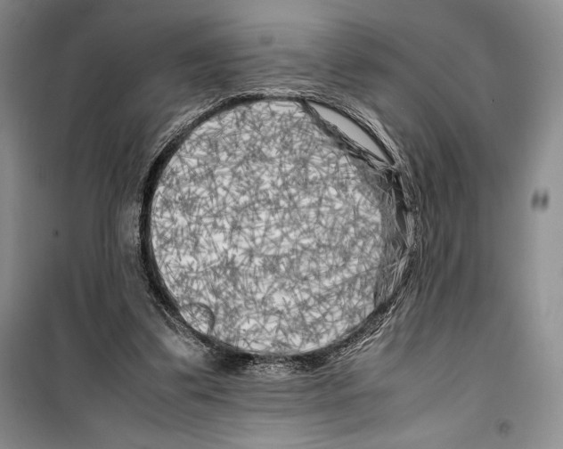 X0000099460299200806061135