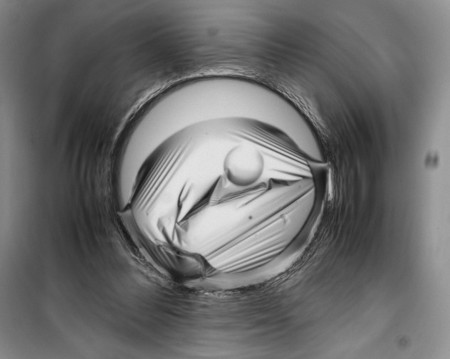 X0000099460300200806061135