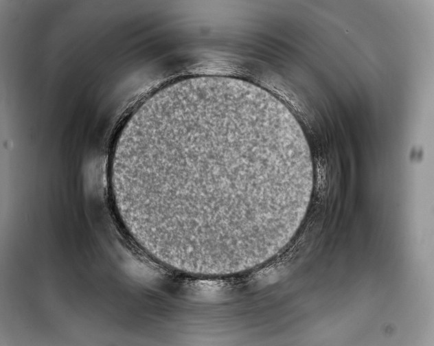 X0000099460302200806061135