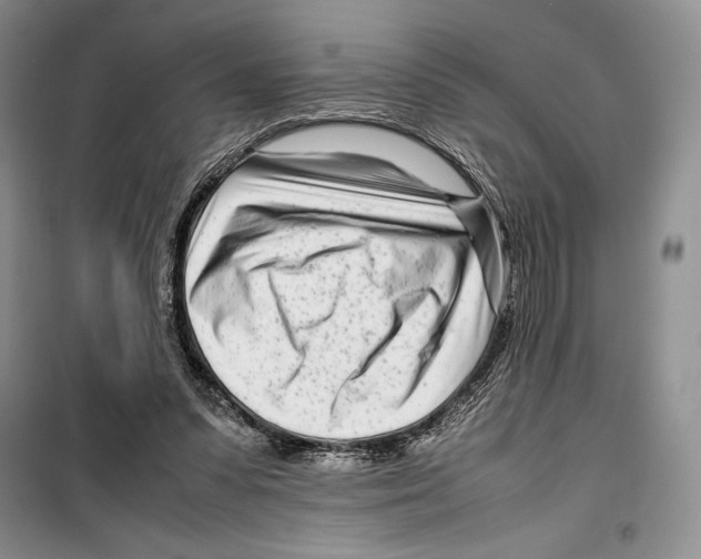 X0000099460303200806061135