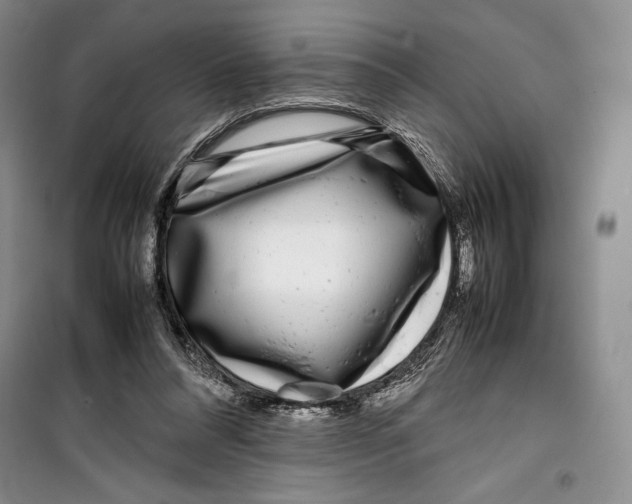 X0000099460304200806061135