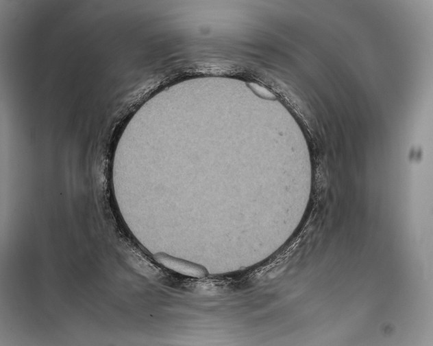 X0000099460305200806061135