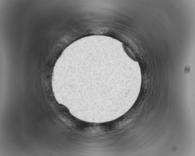 X0000099460307200806061135