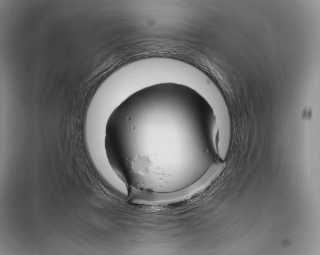 X0000099460313200806061135