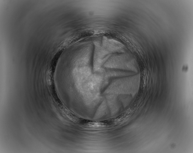 X0000099460316200806061135