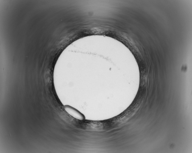 X0000099460317200806061135