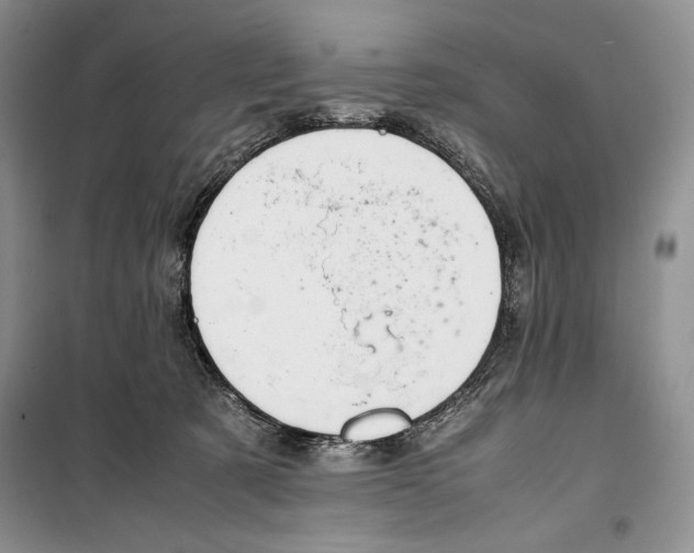 X0000099460321200806061135