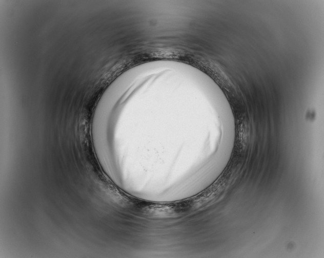 X0000099460322200806061135