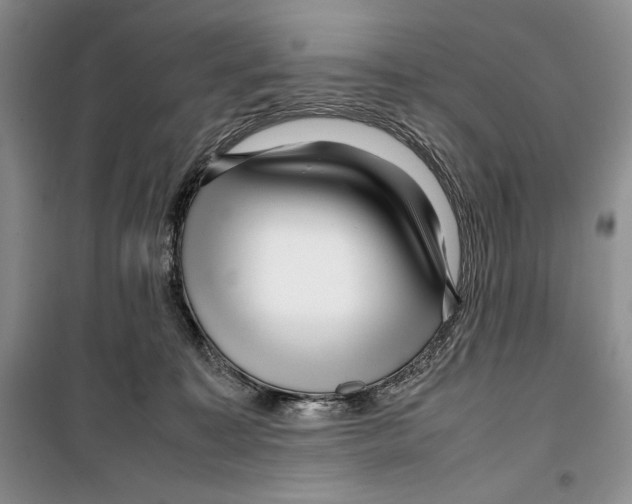 X0000099460323200806061135