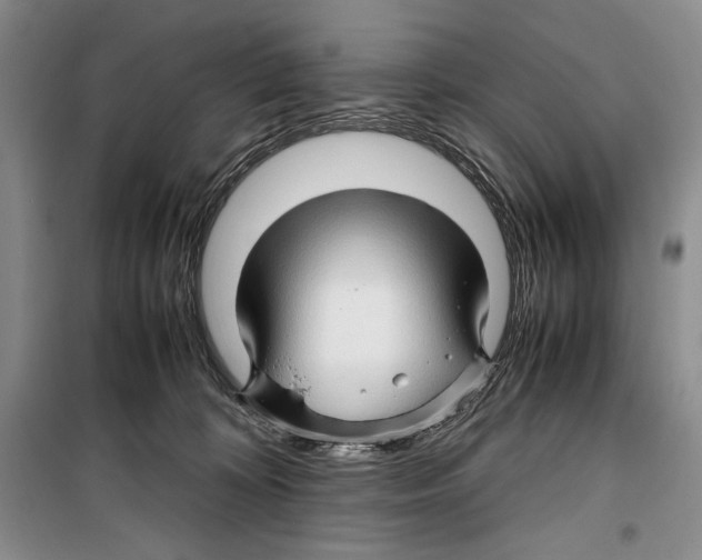 X0000099460324200806061135