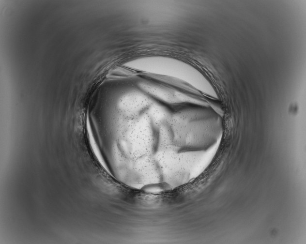 X0000099460325200806061135