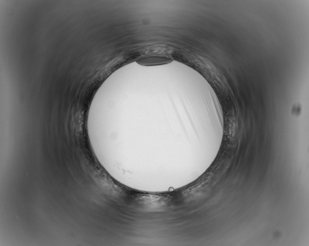 X0000099460326200806061135