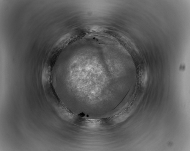 X0000099460328200806061135