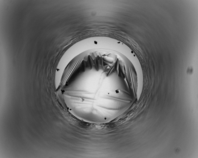 X0000099460329200806061135