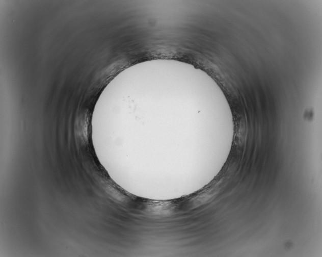 X0000099460334200806061135