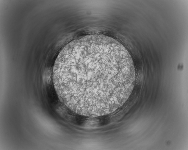 X0000099460335200806061135