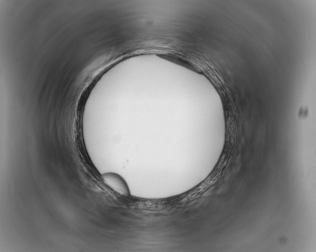 X0000099460338200806061134