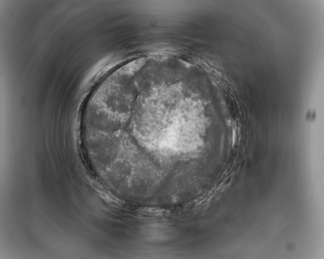 X0000099460339200806061134