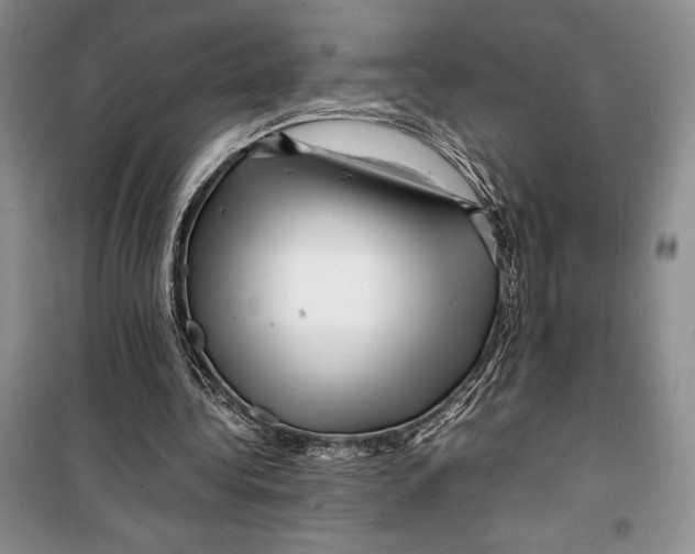 X0000099460340200806061134