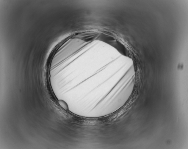 X0000099460342200806061134