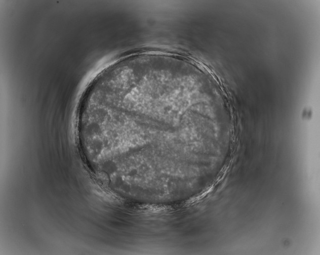 X0000099460343200806061134