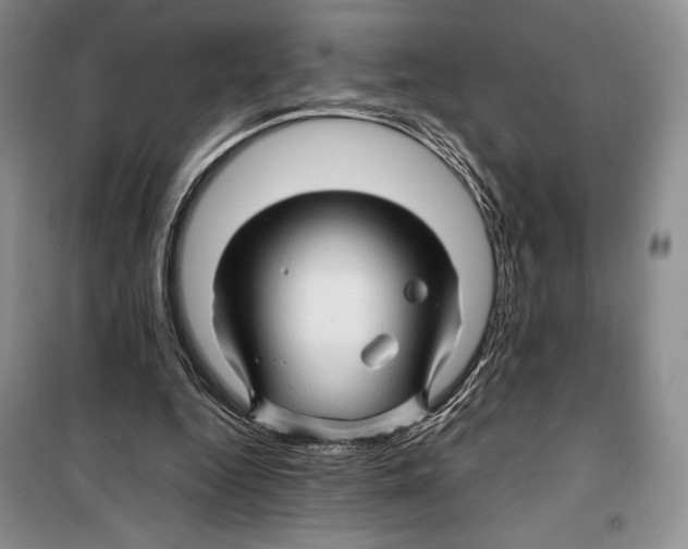 X0000099460344200806061134