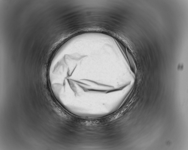 X0000099460345200806061134