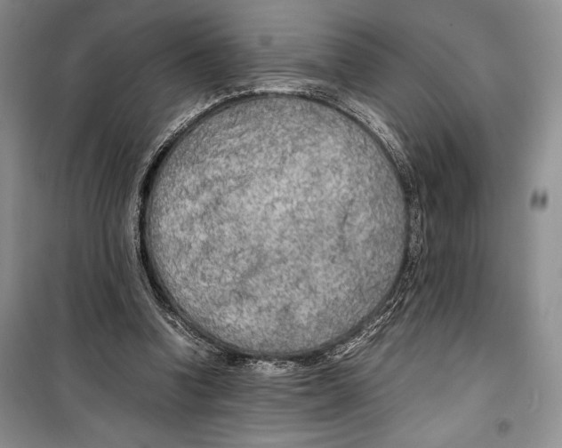 X0000099460346200806061134