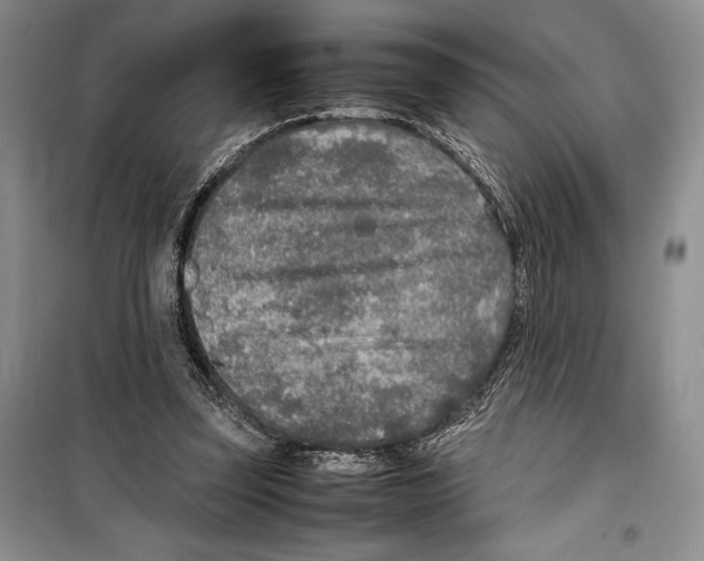 X0000099460347200806061134