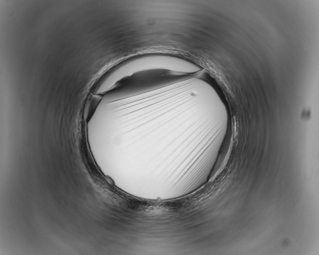 X0000099460348200806061134