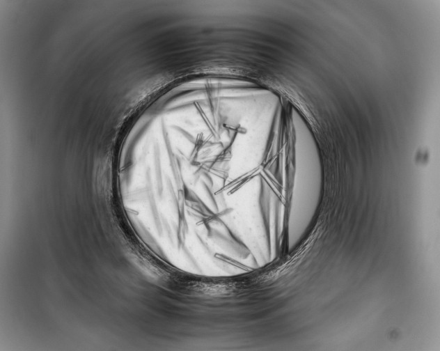 X0000099460349200806061134