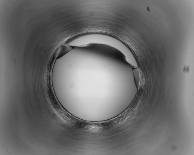 X0000099460352200806061134