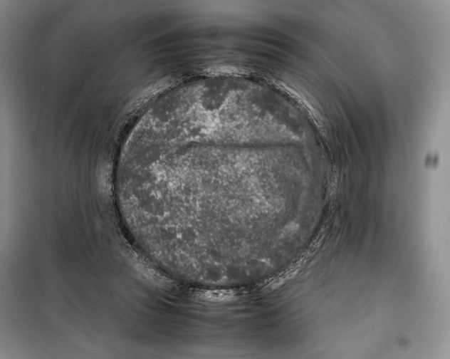 X0000099460353200806061134