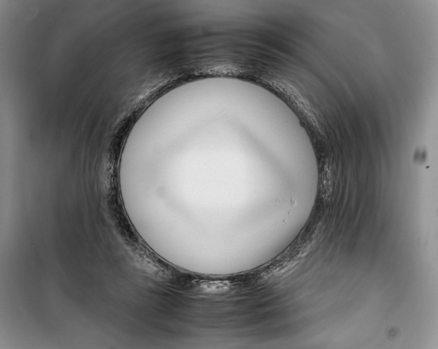 X0000099460355200806061134