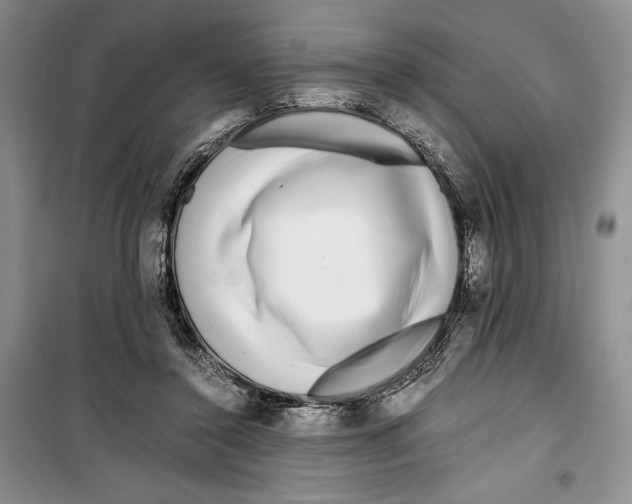 X0000099460356200806061134