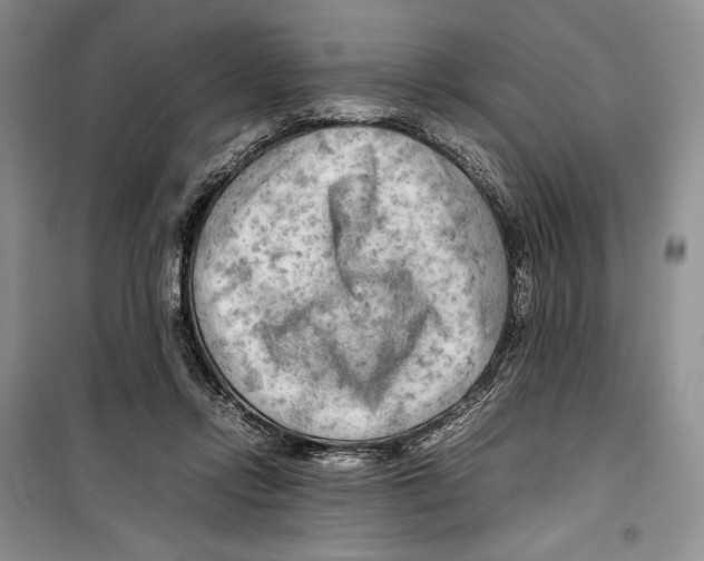 X0000099460358200806061134