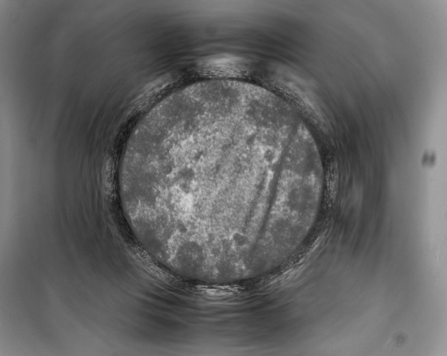 X0000099460359200806061134