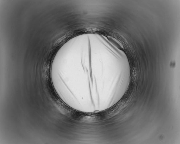 X0000099460364200806061134