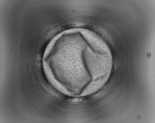 X0000099460366200806061134