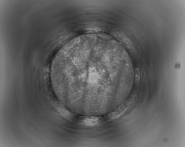 X0000099460369200806061134