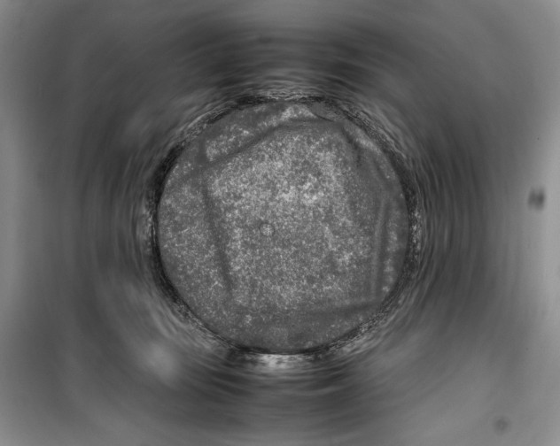 X0000099460371200806061135