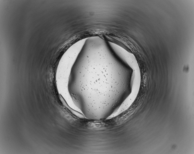 X0000099460372200806061135