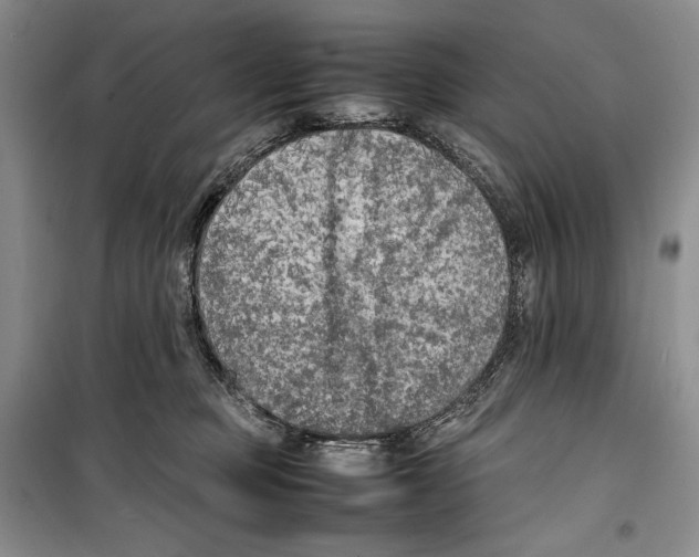 X0000099460373200806061135