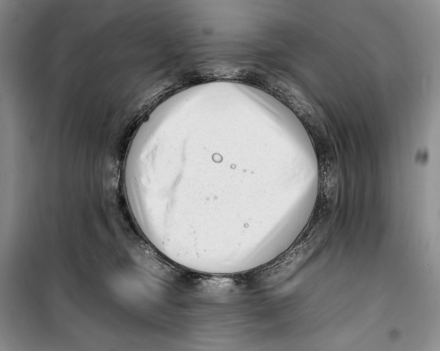 X0000099460374200806061135