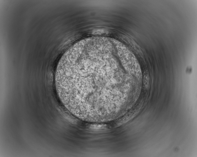 X0000099460375200806061135