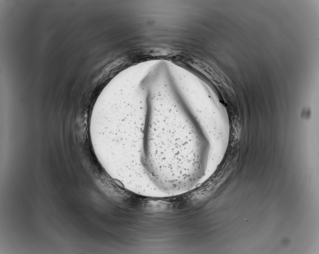 X0000099460376200806061135