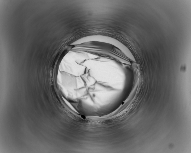 X0000099460378200806061135