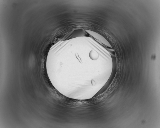 X0000099460379200806061135