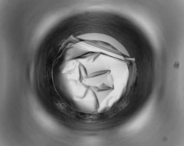 X0000099460382200806061135